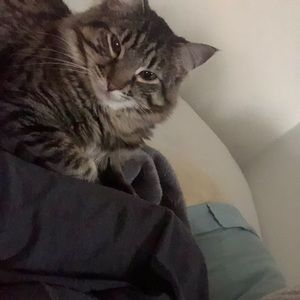 Meet your Posher, Autumn